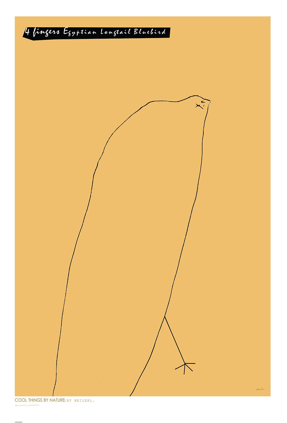 7752533