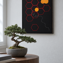 Phycology Over Speed by Yagil Weiler | Studio Edition float framed canvas | still life with a bonsai